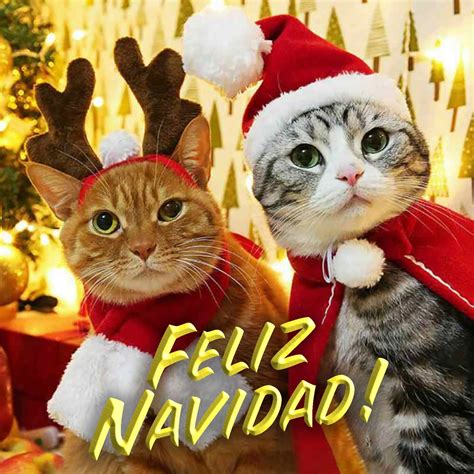 fotos feliz navidad